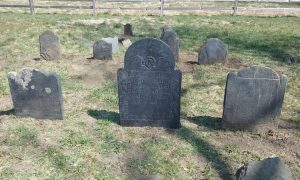 20180414_135512-1-980x588