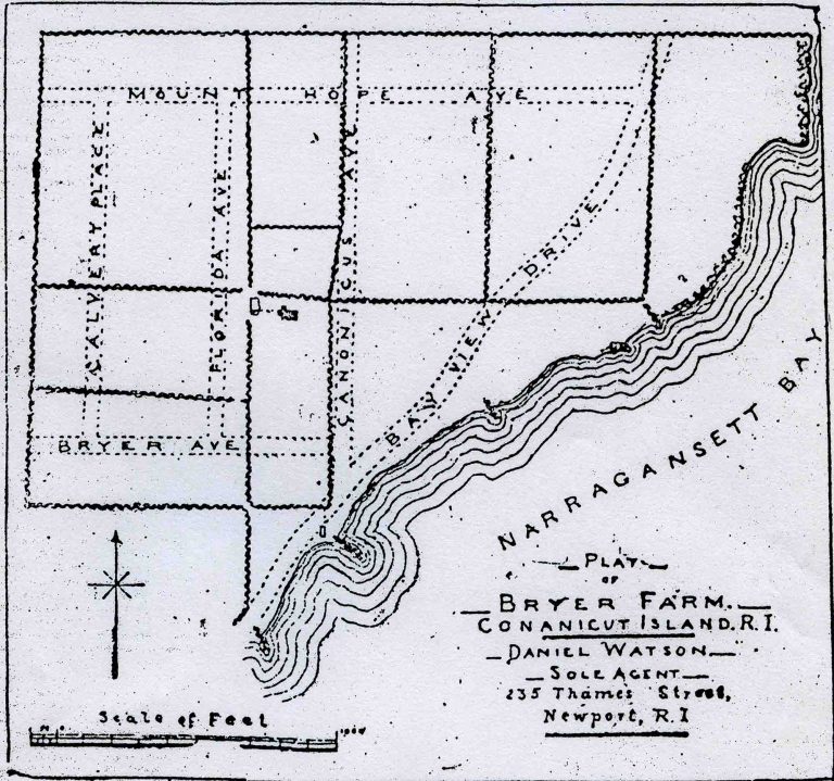 Plat of Bryer Farm, Daniel Watson sole agent, 1884