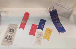 Ribbons to Reward; Ribbons to Support; Ribbons to Identify
