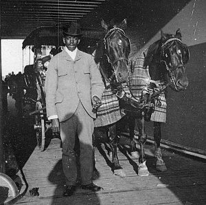Two-horse Surrey
