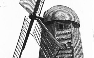 feature-image-1